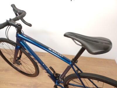 Trek Domane AL 2 Disc